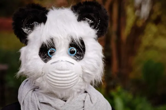 SlotsWin Kazino Pagalba